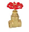 Brass gate valve